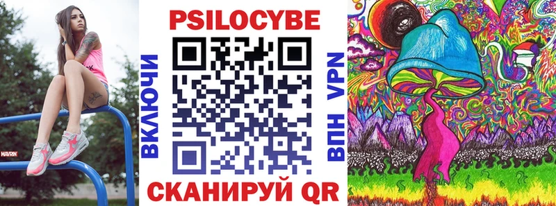 наркотики  Славянск-на-Кубани  Псилоцибиновые грибы Cubensis 
